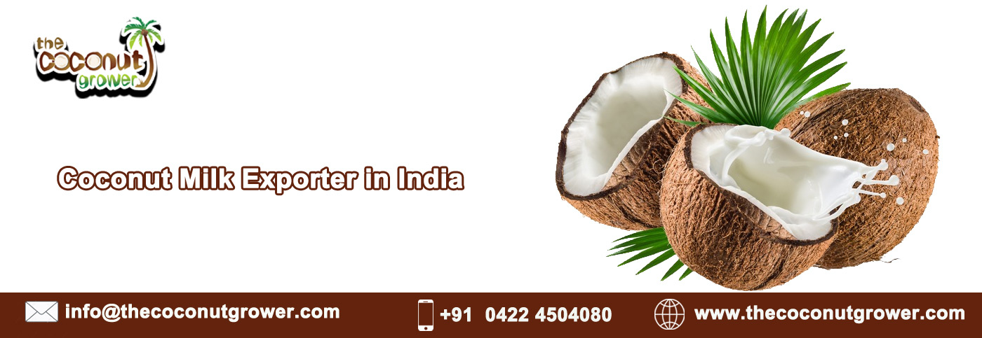 Coconut Milk Exporter in India